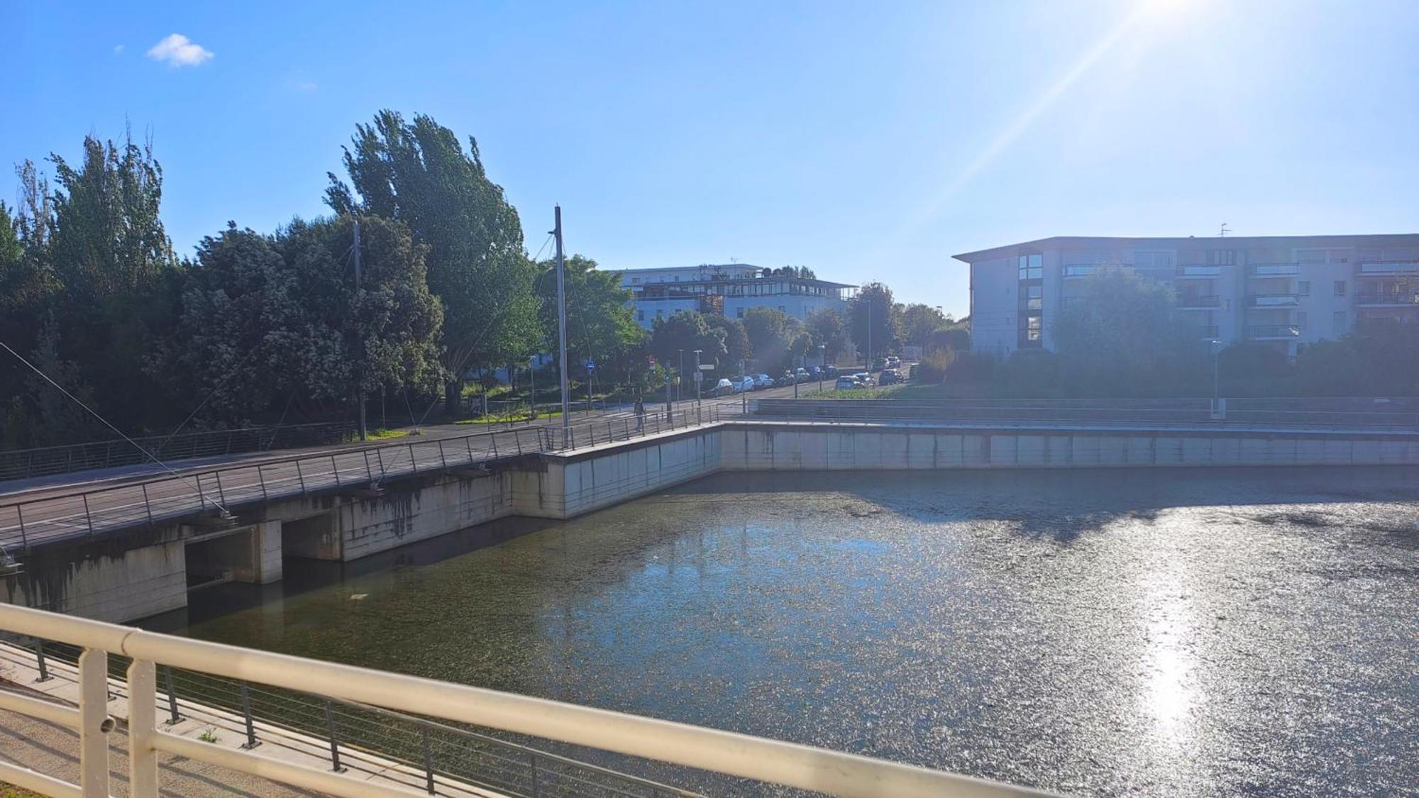 לה רושל Charmant T2 Avec Piscine Vue Lac Aux Minimes La Rochelle מראה חיצוני תמונה